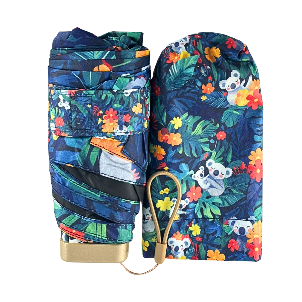 Tropical Koala